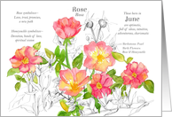 June Birthday Flower Rose Honeysuckle Birth Month card