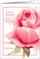 Wife Happy Birthday Single Pink Rosebud Watercolor Floral Art card