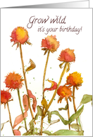 Happy Birthday Grow Wild Orange Flowers Spatter Spots card