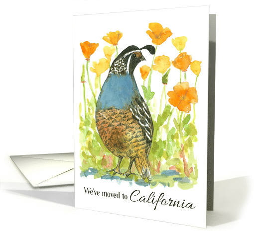 We've Moved To California Announcement Quail Poppies card (1860906)