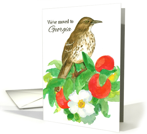 We've Moved To Georgia Announcement Cherokee Rose card (1861724)