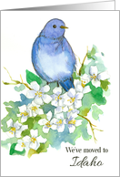 We’ve Moved To Idaho Announcement Bluebird Syringa card