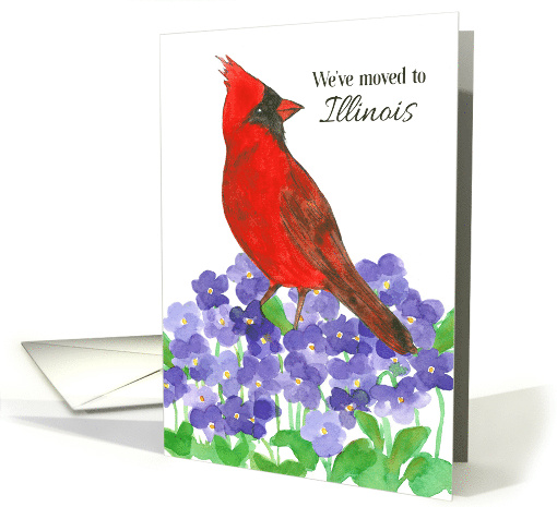 We've Moved To Illinois Announcement Cardinal Violets card (1861762)