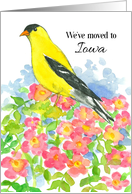 We’ve Moved To Iowa Announcement Goldfinch Wild Rose card