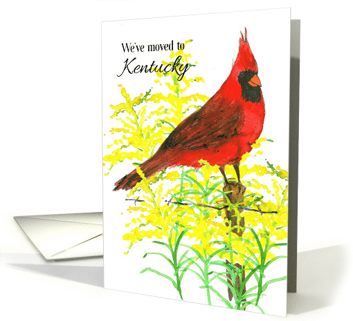 We've Moved To Kentucky Announcement Cardinal Goldenrod card (1861780)