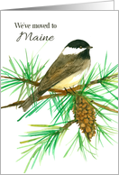 We’ve Moved To Maine Announcement Chickadee Pine card