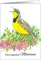 We’ve Moved To Montana Meadowlark Bitterroot card
