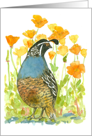 Happy Birthday California Quail Poppies Wildflowers card