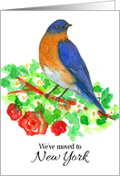 We’ve Moved To New York Bluebird Red Rose card