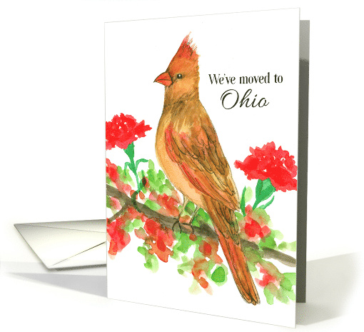 We've Moved To Ohio Cardinal Bird Carnations card (1865916)