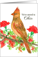 We’ve Moved To Ohio Cardinal Bird Carnations card