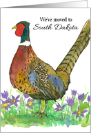 We’ve Moved To South Dakota Pheasant Pasque Flower card
