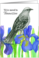 We’ve Moved To Tennessee Mockingbird Iris Flower card
