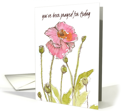 You've Been Prayed For Today Pink Poppies card (1875798)