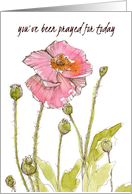 You’ve Been Prayed For Today Pink Poppies card