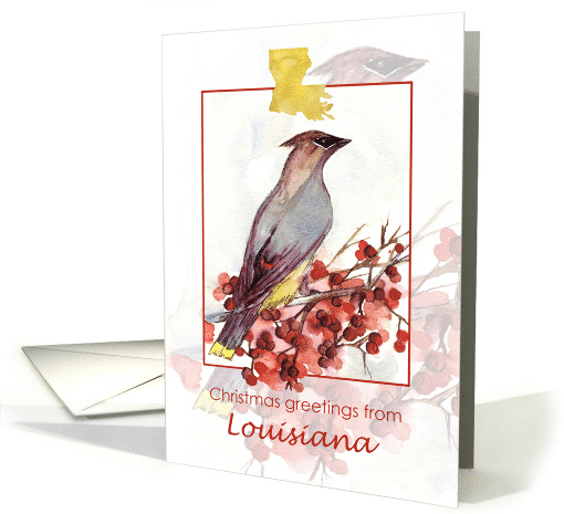 Merry Christmas from Louisiana Cedar Waxwing Bird card (1879652)