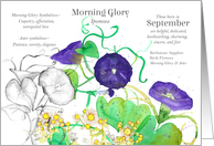 September Birthday Flower Morning Glory Birth Month card