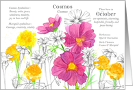 October Birthday Flower Cosmos Marigold Birth Month card
