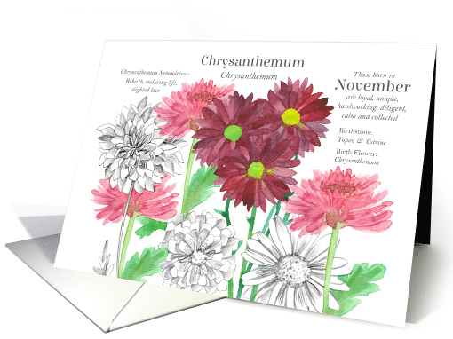 November Birthday Flower Chrysanthemum Birth Month card (1882042)