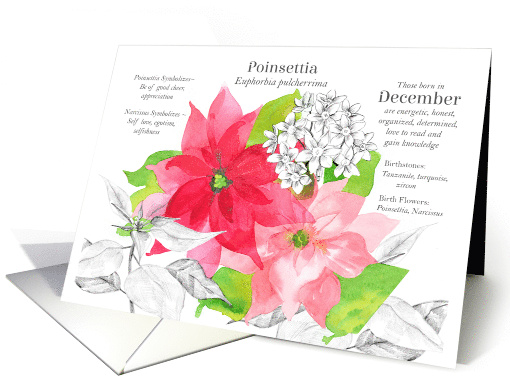 December Birthday Flower Poinsettia Birth Month card (1882044)