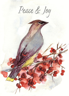 Happy New Year Peace Joy Cedar Waxwing Bird