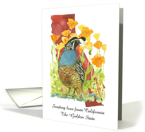 Sending Love from California Quail Poppies Custom card (1889186)