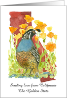 Sending Love from California Quail Poppies Custom card