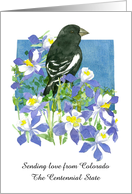 Sending Love from Colorado Columbine Flowers Custom card