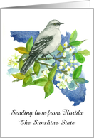 Sending Love Florida Mockingbird Orange Blossom Custom card