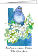 Sending Love from Idaho Bluebird Syringa Custom card