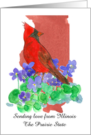 Sending Love from Illinois Cardinal Violets Custom card