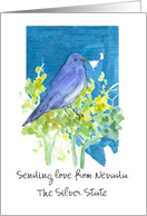 Sending Love from Nevada Bluebird Sagebrush Custom card