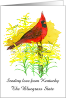 Sending Love from Kentucky Cardinal Goldenrod Custom card