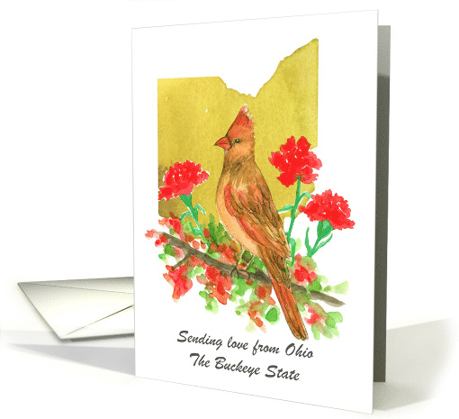 Sending Love Ohio Cardinal Bird Red Carnation Custom card (1890958)