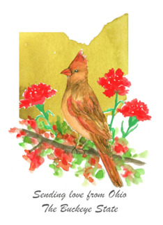 Sending Love Ohio Cardinal Bird Red Carnation Custom