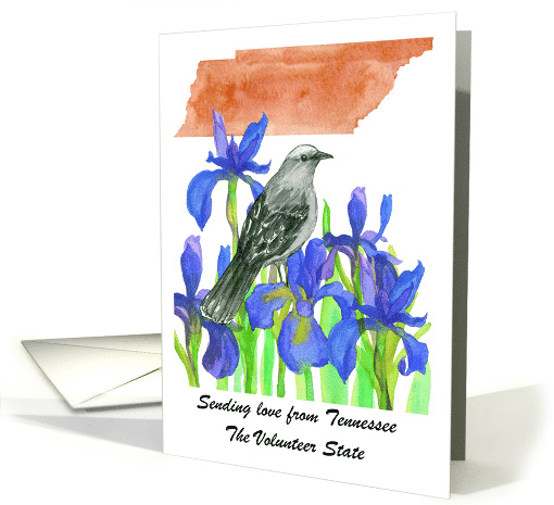 Sending Love Tennessee Mockingbird Iris Flower Custom card (1891720)