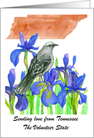 Sending Love Tennessee Mockingbird Iris Flower Custom card