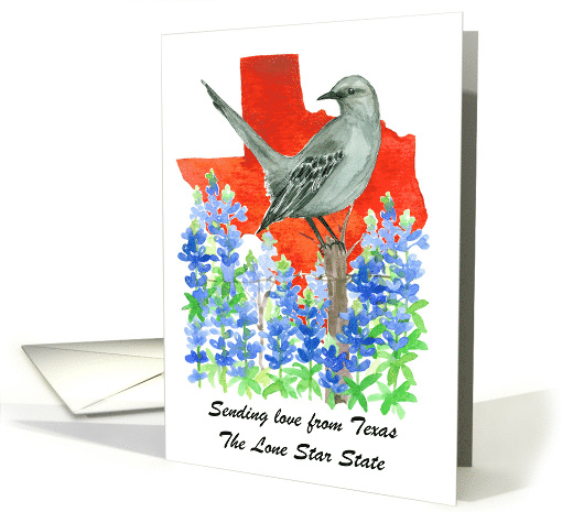 Sending Love Texas Mockingbird Bluebonnet Flower Custom card (1891724)