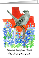 Sending Love Texas Mockingbird Bluebonnet Flower Custom card