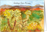 Greetings from Arizona Desert Cholla Cactus Mountains card