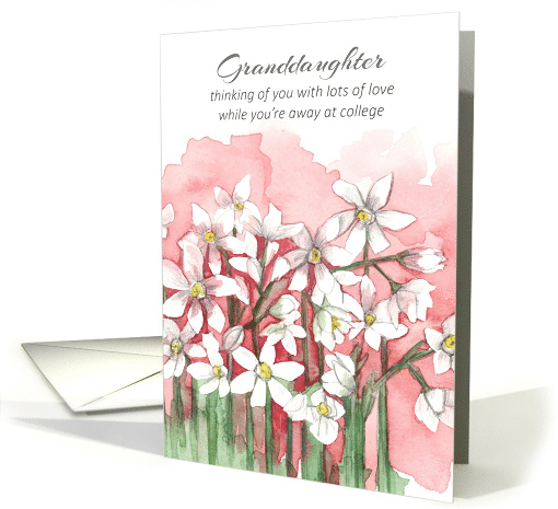 Happy Valentine's Day Granddaughter At College Flowers card (1894362)