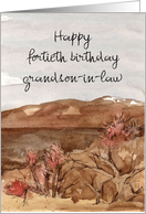Happy 40th Birthday Grandson in Law Mountains Custom card