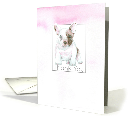 Thank You Puppy Dog Boston Terrier Pink Watercolor card (1896890)