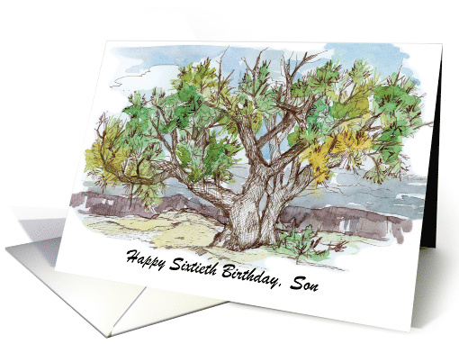 Happy 60th Birthday Son Pinyon Pine Tree Custom card (1897724)