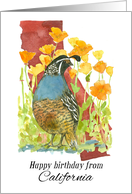 Happy Birthday from California Quail Poppy Flowers card