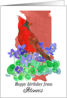 Happy Birthday from Illinois Cardinal Violet Flowers card