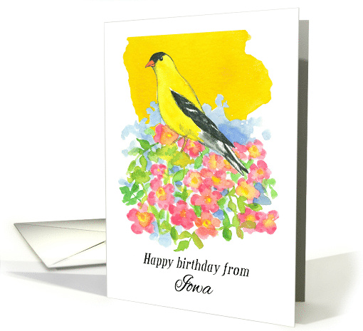 Happy Birthday from Iowa Goldfinch Wild Roses card (1900716)