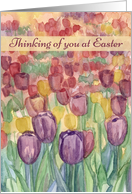 Thinking of you at Easter Tulip Flower Garden card