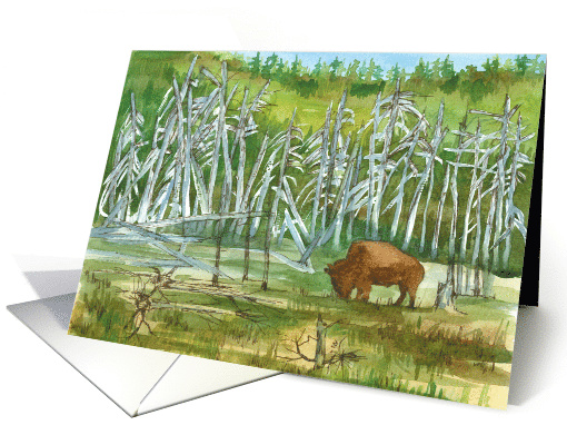 Happy Birthday Bison Wildlife Forest Trees Watercolor card (1908694)