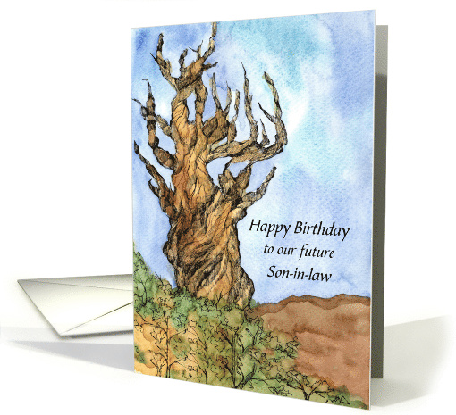 Happy Birthday Future Son in Law Bristlecone Pine Custom card